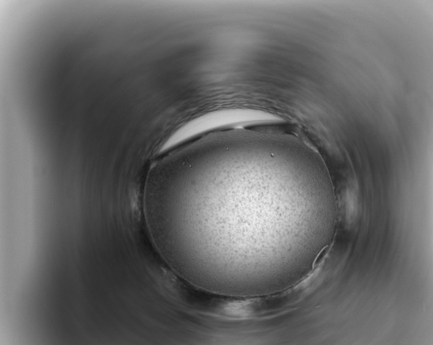 X0000093420178200710191013