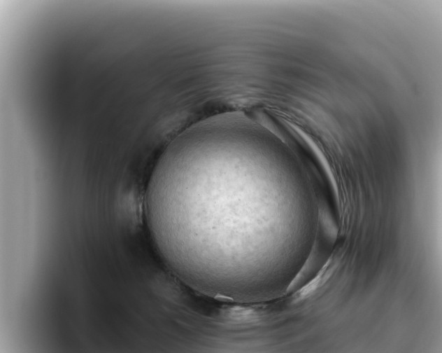 X0000093420180200710191013