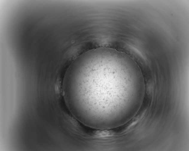 X0000093420181200710191013