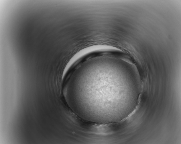 X0000093420186200710191013