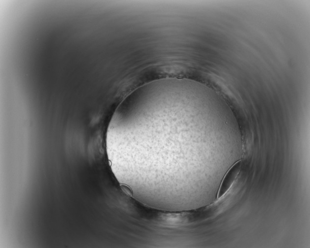 X0000093420187200710191013