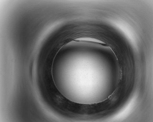 X0000093420190200710191013