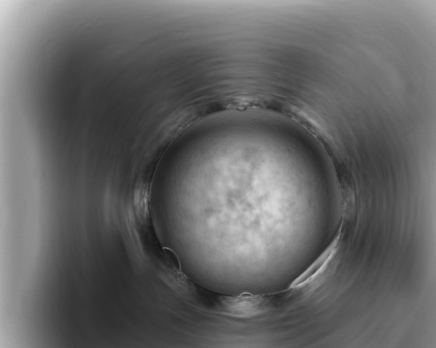 X0000093420191200710191013