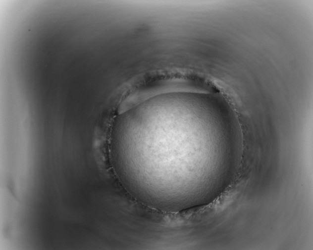 X0000093420192200710191013