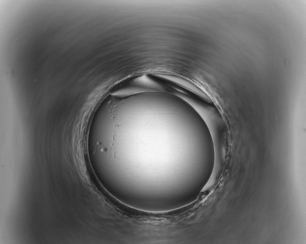 X0000093420193200710191012