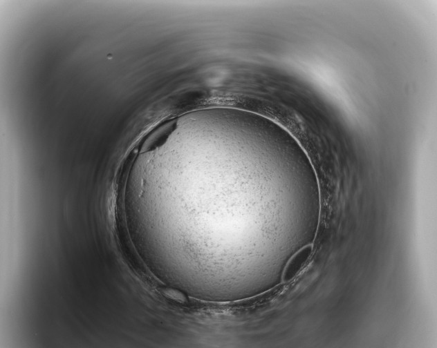 X0000093420194200710191012