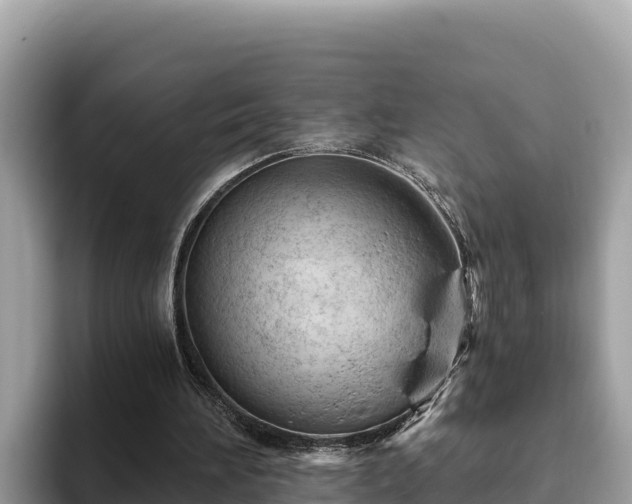X0000093420196200710191012