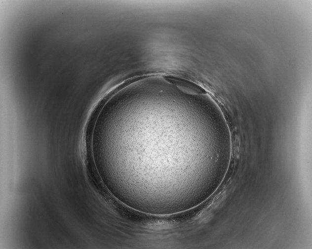 X0000093420198200710191012