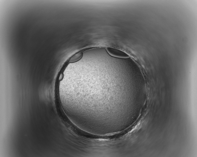 X0000093420200200710191012