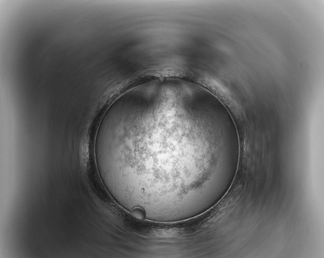X0000093420202200710191012