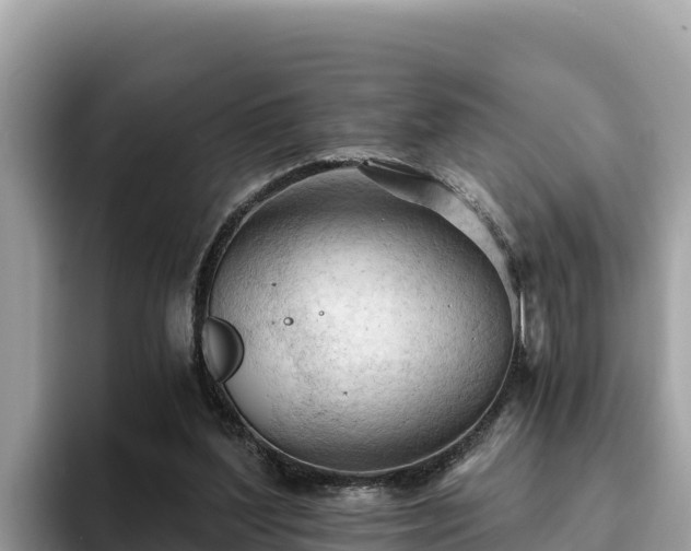 X0000093420204200710191012