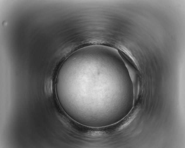 X0000093420205200710191012