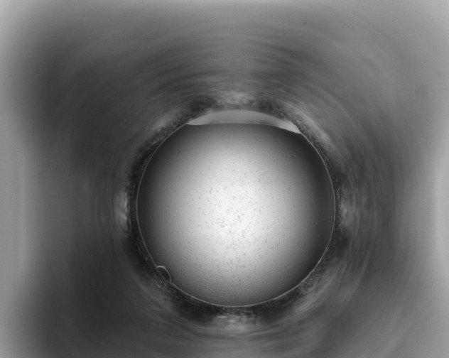 X0000093420211200710191012