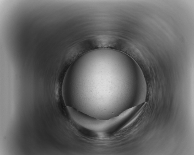 X0000093420219200710191012