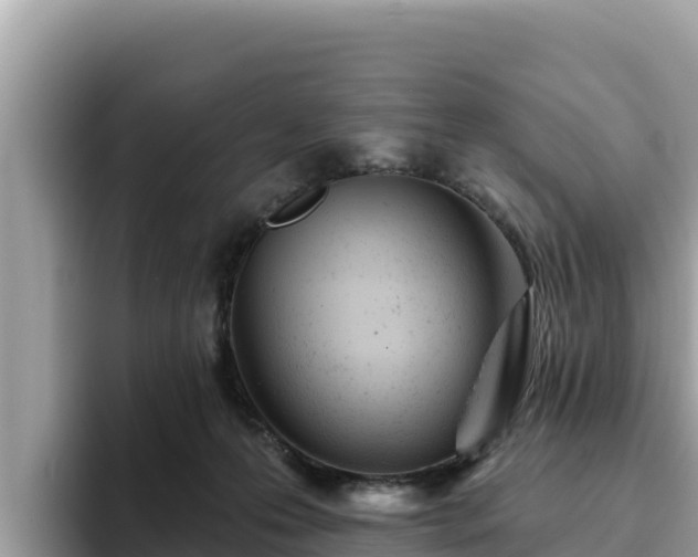X0000093420223200710191012