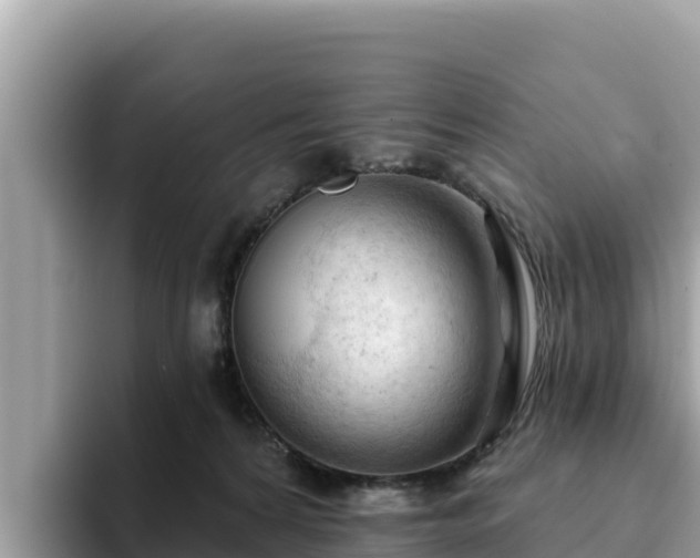X0000093420224200710191012