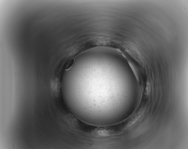 X0000093420228200710191012