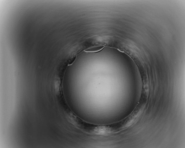 X0000093420231200710191012