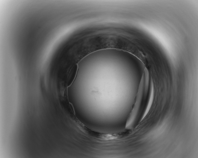 X0000093420239200710191012