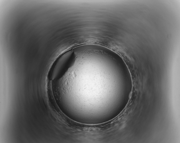 X0000093420242200710191011