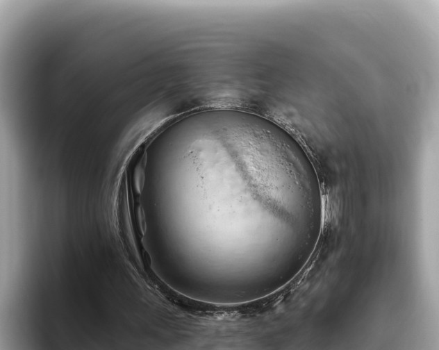 X0000093420243200710191011