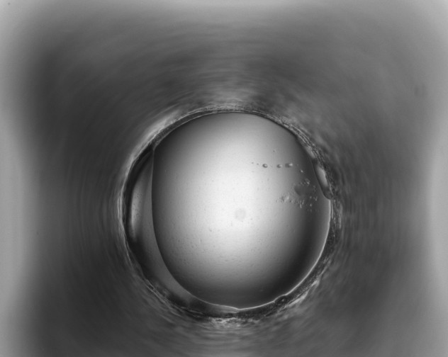 X0000093420244200710191011