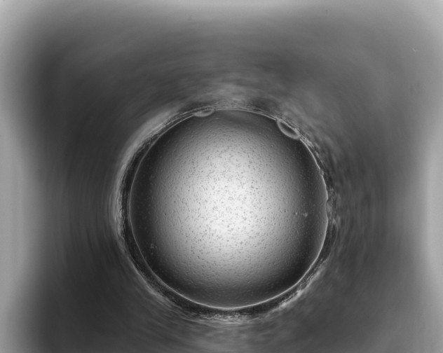 X0000093420245200710191011