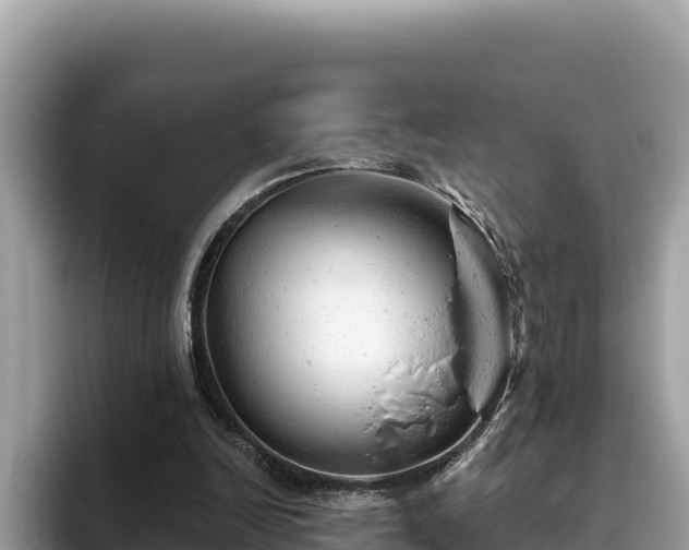 X0000093420246200710191011