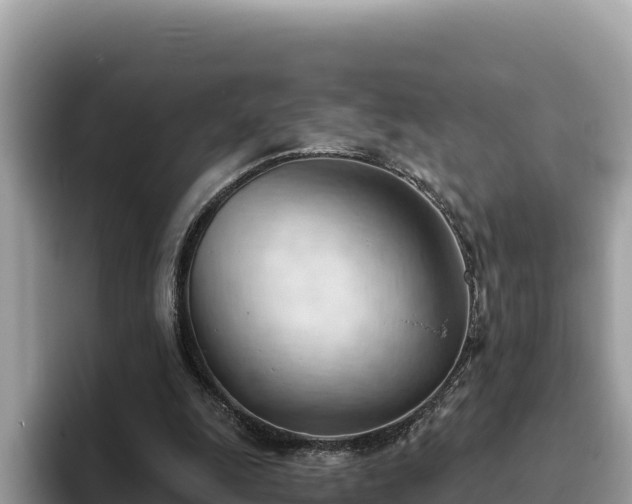 X0000093420247200710191011