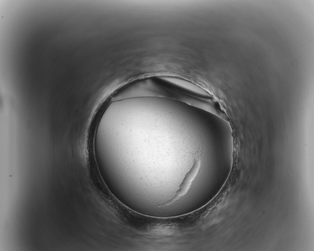 X0000093420248200710191011