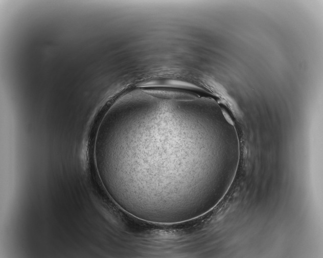 X0000093420250200710191011