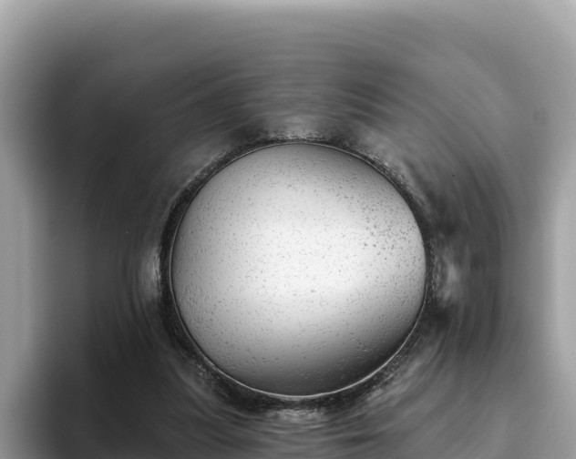 X0000093420251200710191011