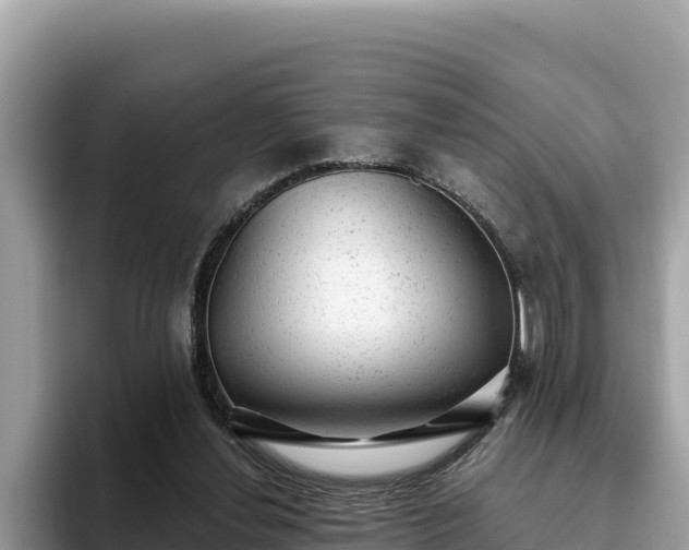 X0000093420252200710191011