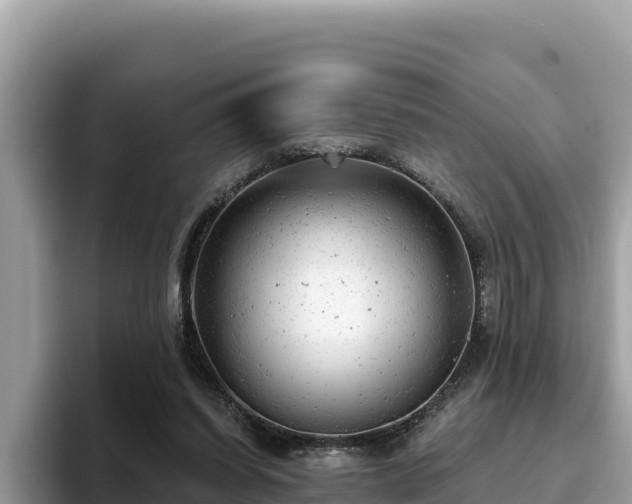X0000093420254200710191011
