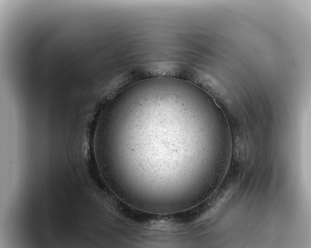 X0000093420259200710191011