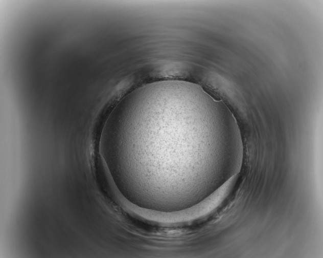 X0000093420260200710191011