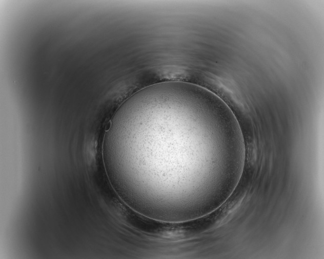 X0000093420263200710191011