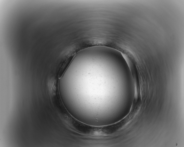X0000093420264200710191011