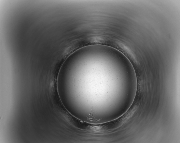 X0000093420265200710191011