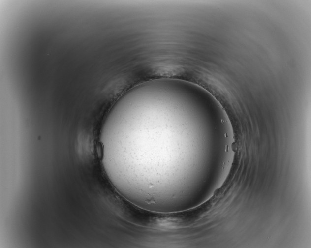 X0000093420268200710191011