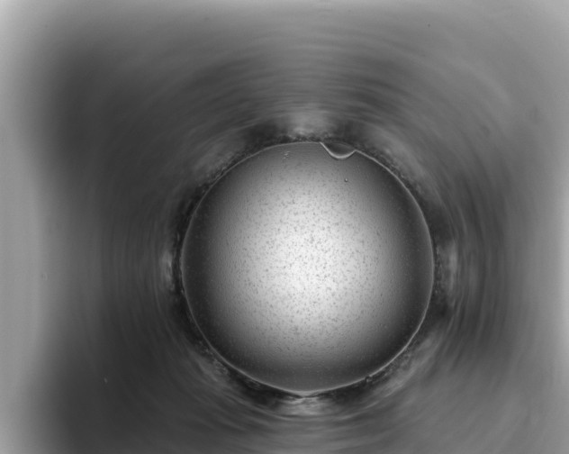 X0000093420269200710191011