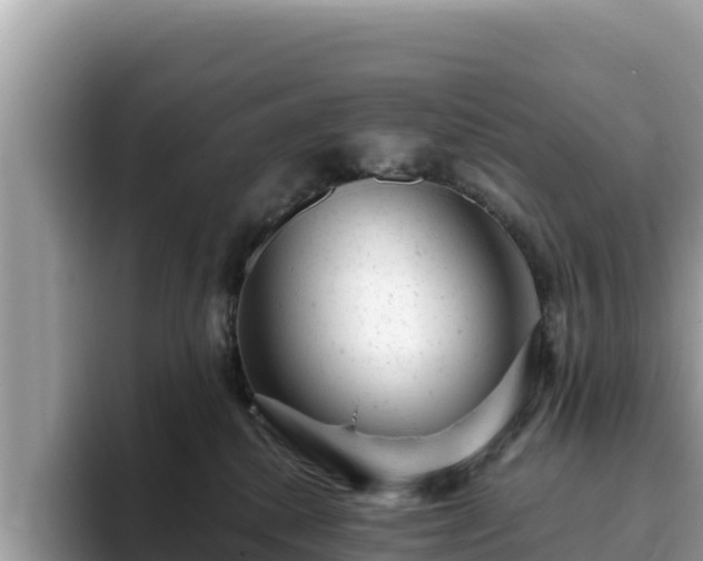 X0000093420280200710191012