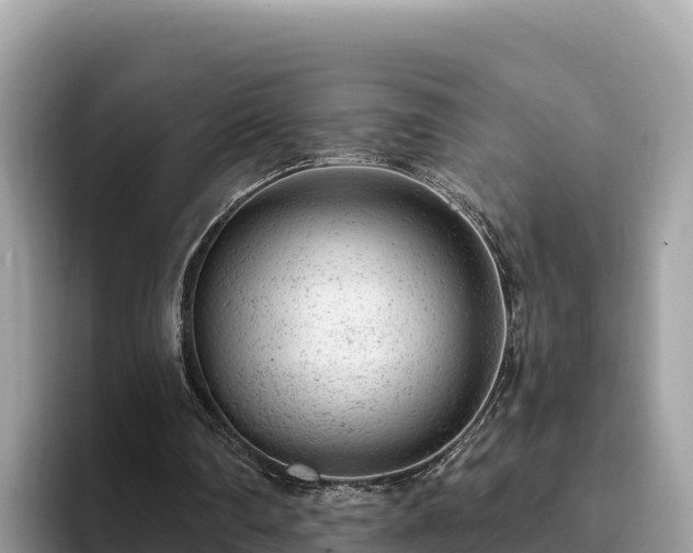 X0000093420290200710191011