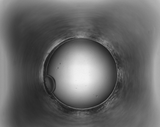 X0000093420292200710191011