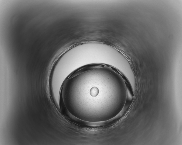 X0000093420293200710191011