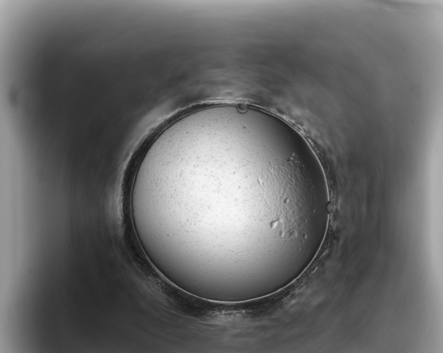 X0000093420296200710191011