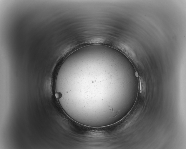 X0000093420300200710191011