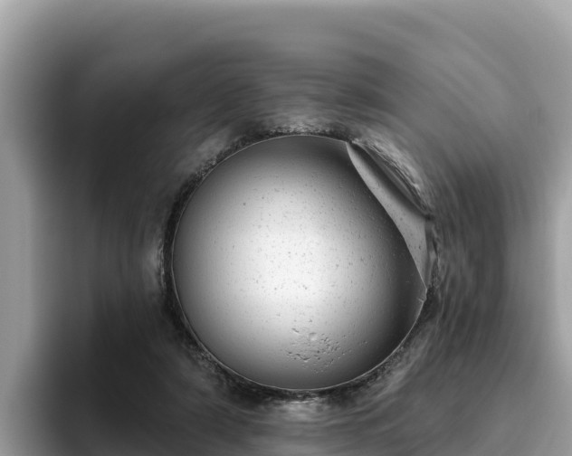 X0000093420306200710191011