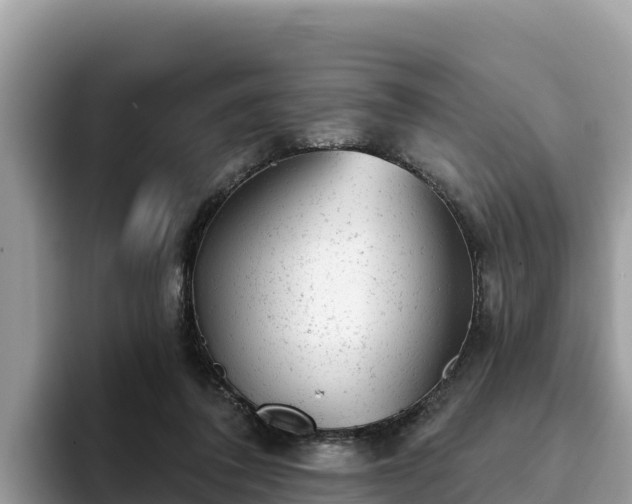X0000093420308200710191011