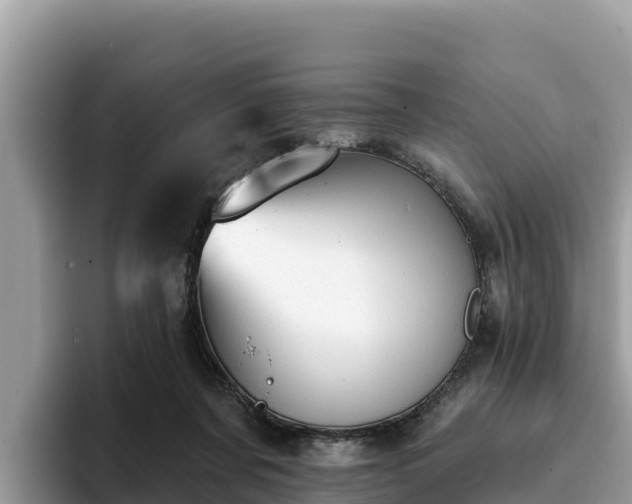 X0000093420311200710191011